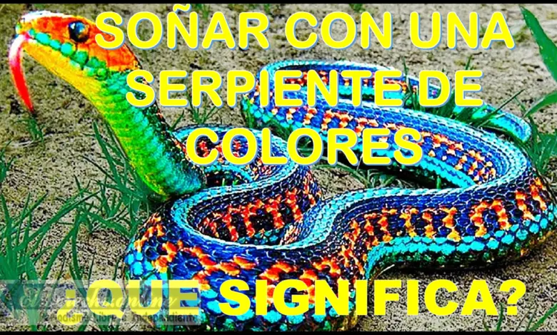 Soñar con una Serpiente de Colores ¿Qué significa este sueño?
