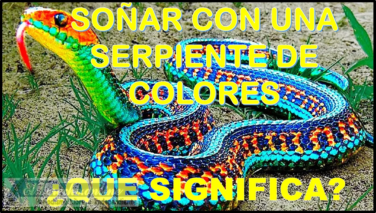Soñar con una Serpiente de Colores ¿Qué significa este sueño?