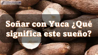 Soñar con Yuca ¿Qué significa este sueño?