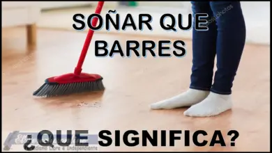 Soñar que Barres ¿Qué significa este sueño?