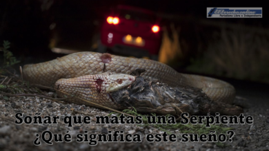 Soñar que matas una Serpiente ¿Qué significa este sueño?