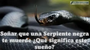 Soñar que una Serpiente negra te muerde ¿Qué significa este sueño?