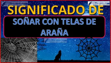 Soñar con Telas de araña ¿Qué significa este sueño?