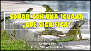 Soñar con Iguana ¿Qué significa este sueño?