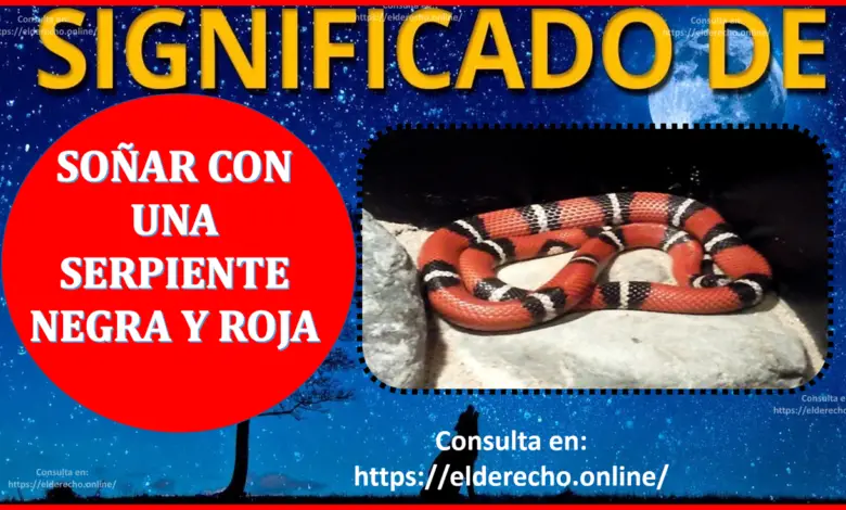 ▷ Soñar con una Serpiente negra y roja ¿Qué significa este sueño? » 2023 El Derecho Online 🥇 Soñar con una Serpiente negra y roja ¿Qué significa este sueño?