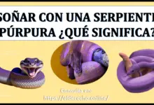 Soñar con una Serpiente púrpura ¿Qué significa este sueño?
