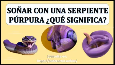 Soñar con una Serpiente púrpura ¿Qué significa este sueño?
