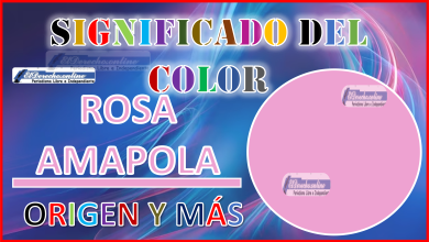 El color Rosa Amapola, significado, origen y más