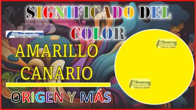 El color Amarillo canario, significado, origen y más