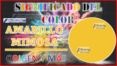 El color Amarillo Mimosa, significado, origen y más