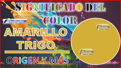 El color Amarillo Trigo, significado, origen y más