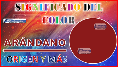 El color Arándano, significado, origen y más