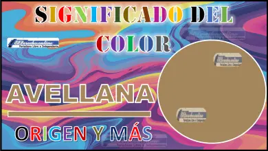 El color Avellana, significado, origen y más