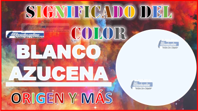 El color Blanco Azucena, significado, origen y más