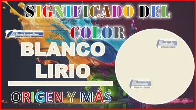 El color Blanco Lirio, significado, origen y más