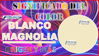 El color Blanco Magnolia, significado, origen y más