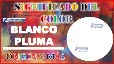 El color Blanco Pluma, significado, origen y más