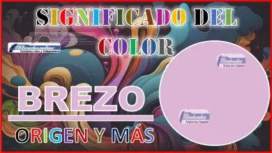 El color Brezo, significado, origen y más