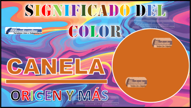 El color Canela, significado, origen y más