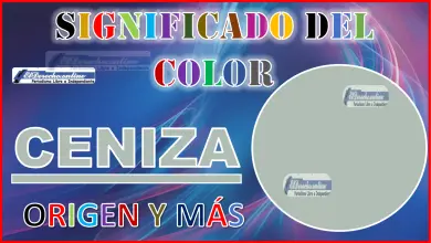 El color Ceniza, significado, origen y más