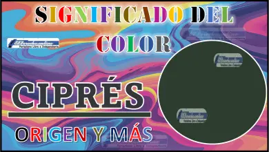 El color Ciprés, significado, origen y más