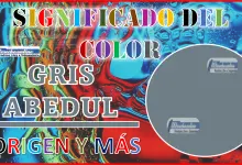 El color Gris Abedul, significado, origen y más