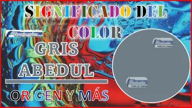 El color Gris Abedul, significado, origen y más