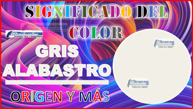 El color Gris alabastro, significado, origen y más