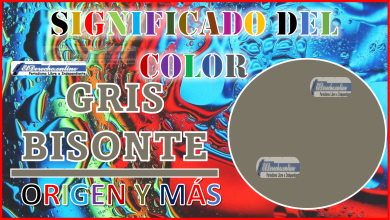 El color Gris bisonte, significado, origen y más