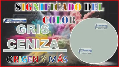 El color Gris ceniza, significado, origen y más