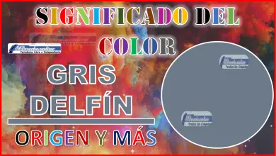 El color Gris Delfín, significado, origen y más