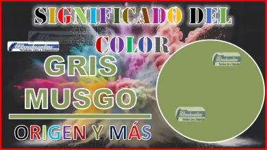 El color Gris musgo, significado, origen y más