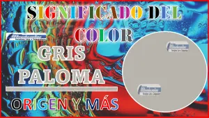 El color Gris Paloma, significado, origen y más