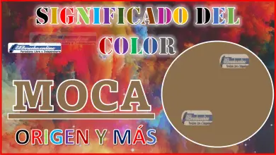 El color Moca, significado, origen y más