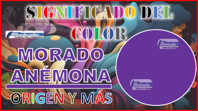 El color Morado Anémona, significado, origen y más