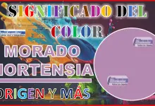 El color Morado Hortensia, significado, origen y más