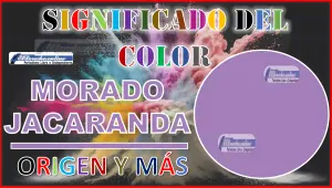El color Morado jacaranda, significado, origen y más