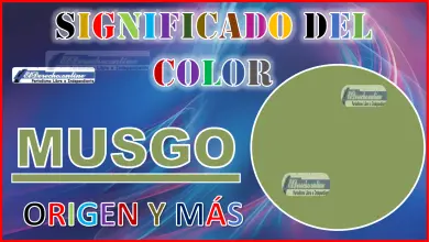 El color Musgo, significado, origen y más