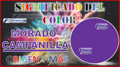 El color Morado campanilla, significado, origen y más