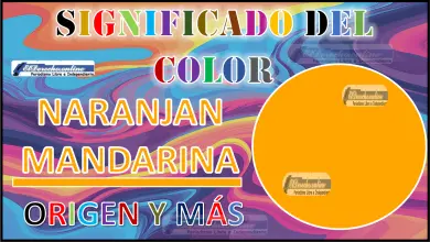 El color Naranja mandarina, significado, origen y más