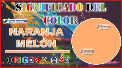 El color Naranja melón, significado, origen y más