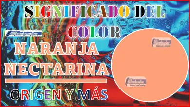 El color Naranja Nectarina, significado, origen y más