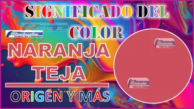 El color Naranja Teja, significado, origen y más