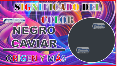 El color Negro Caviar, significado, origen y más