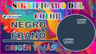 El color Negro Ébano, significado, origen y más