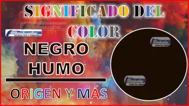 El color Negro Humo, significado, origen y más