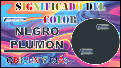 El color Negro plumón, significado, origen y más