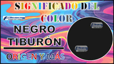 El color Negro Tiburón, significado, origen y más