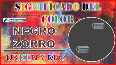 El color Negro zorro, significado, origen y más