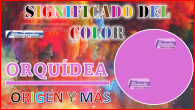 El color Orquídea, significado, origen y más